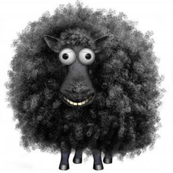 Meet your Posher, Jacquelyn - Picture 1 of 1